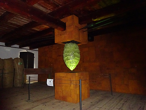 Velká plastická chmelová šiška